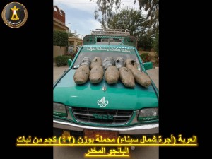 10155331_645451702252482_5456635058920770970_n