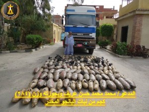 10417493_645451568919162_2305930859805541579_n