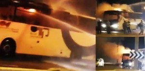 11182247_10152710143882750_6665568105121111105_n