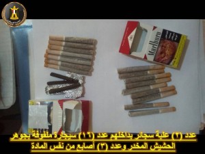 20417_645451688919150_2281726271247446911_n