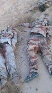 11201165_871359256252872_2803606499110438799_n