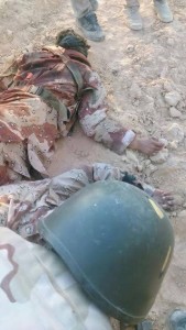 11229967_871359276252870_5527653171130145261_n