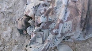 11236160_871359302919534_5059525005064440058_n