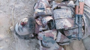 11403025_871359439586187_1866317279077424234_n