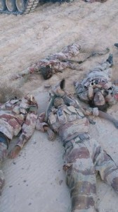 11403073_871359092919555_1450735899682253665_n