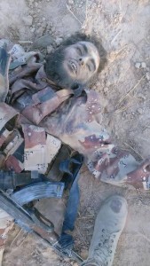 11403087_871358872919577_4630142860609394906_n