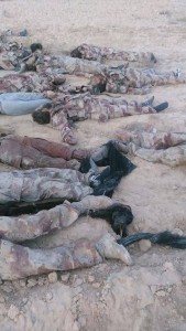 11540911_871359382919526_6984872314134425718_n