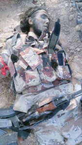 11665362_871359336252864_6636477360367852674_n