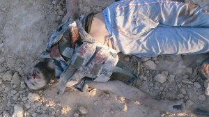 11665383_871359469586184_6011466007248386238_n