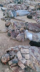 11666153_871358609586270_6048681310187696215_n