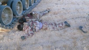 11667505_871359292919535_6043919103602204828_n