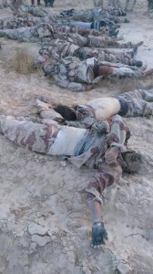 11692792_871359206252877_731453700130072014_n