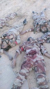 11698499_871359156252882_7861474602076791426_n