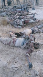 11700935_871358896252908_2883983800570776724_n