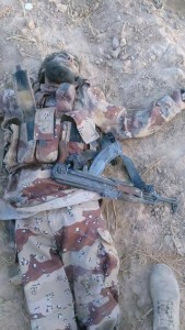 11707377_871359209586210_5291745043943877039_n