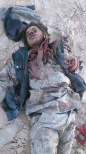 11707541_871359349586196_185473308816887985_n