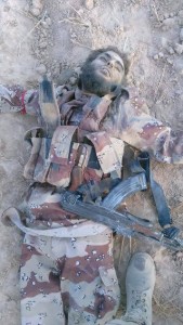 11709717_871359416252856_3307298600542500500_n