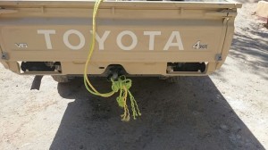 11855663_705497416247910_7236102013237429210_n