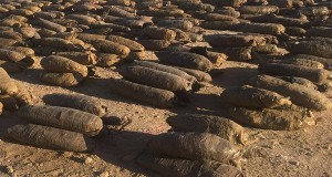 المتحدث العسكري