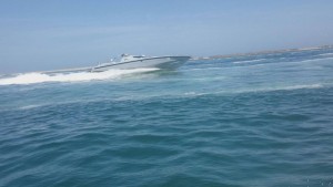 13055917_820851324712518_3303503536098072530_o