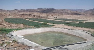 المتحدث العسكرى