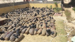 حرس-الحدود3