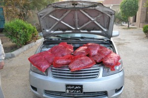 حرس-الحدود33