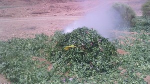 حرس-الحدود77