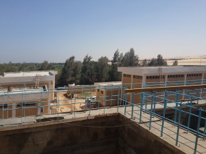 13936894_10154351973717410_259008849_n