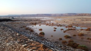 %d8%aa%d9%81%d9%82%d8%af-%d9%85%d9%88%d9%82%d8%b9-%d8%ad%d8%a7%d8%af%d8%ab-%d8%a7%d9%84%d8%b3%d9%8a%d9%84-30