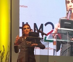 1151e049-7e8a-4e65-8412-a728b08fc1db-1-300x257