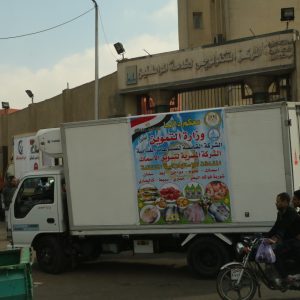 IMG_0005-300x300