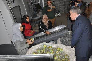 %d8%aa%d9%85%d9%88%d9%8a%d9%86-1-1-300x199