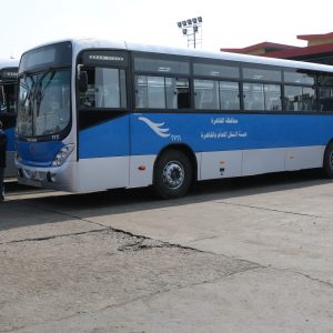 IMG_0241-300x300