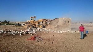 thumbnail_IMG-20170524-WA0040