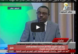 بالفيديو : كلمة رئيس وزراء أثويبيا ديسالين: رسالتي للشعب المصري أن سد النهضة لن يضر بمصالح مصر