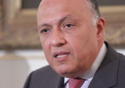 سامح شكرى : الأمن القومى المصرى يواجه تحديات غير مسبوقة