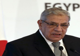 محلب والحبيب يشهدان توقيع 16 اتفاقية بين مصر وتونس