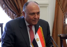وزير الخارجية يشارك في اجتماع مجموعة الدعم الدولية الخاصة بسوريا