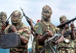 مقتل 25 شخصا جراء هجمات لبوكو حرام على قرية بجنوب النيجر