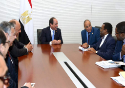 رئيس “الإفريقى للتنمية” يؤكد للسيسى تطلع البنك لتوسيع أنشطته فى مصر