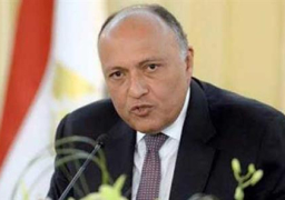 شكري : مبادرة الرئيس تمثل رؤية مصرية لتحقيق السلام في المنطقة