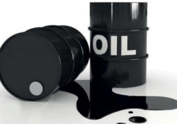 فنزويلا وإيران تسعيان لتوافق لتحقيق استقرار أسواق النفط