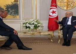 أبو الغيط يؤكد أن مقابلة الرئيس التونسي تعبر عن دعم بلاده للجامعة العربية