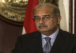 بالفيديو..رئيس الوزراء يؤكد ان الشعب المصرى اختار الاستقرار والتنمية ورفض الفوضى