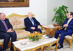 الرئيس السيسي يؤكد خلال لقائه بوزير الخارجية العراقي موقف مصر الثابت بدعم سيادة الدولة العراقية