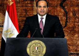 السيسي: ثورة يناير ستظل نقطة تحول في تاريخ مصر