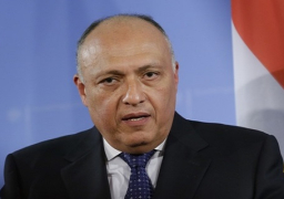 وزير الخارجية ينقل رسالة من السيسي إلى الرئيس التونسي