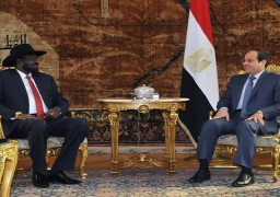 مسئول بجنوب السودان يؤكد تطور العلاقات مع مصر في عهد السيسي