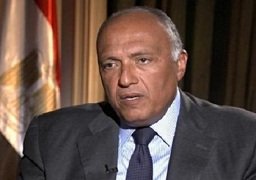 وزير الخارجية يتوجه إلى أكرا حاملا رسالة من الرئيس السيسي إلى الرئيس الغاني